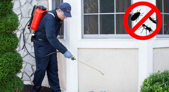 Bozdoğan Bit İlaçlama böcek ilaçlama ve haşere kontrolü — ilaclama-tr.com